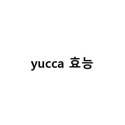 유카 루트의 혈당 강화, 염증 제거, 근육 강화 효과와 그 요리법