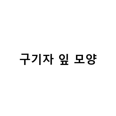 구기자잎 장아찌부터 차까지, 구기자의 매력을 모두 느껴보세요!
