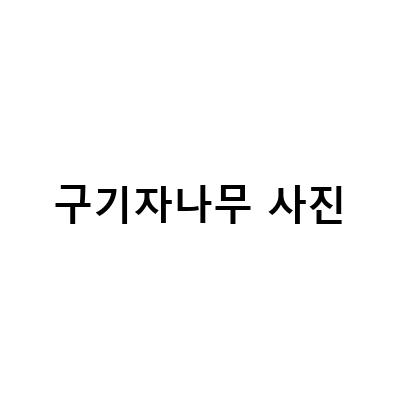 경성제약 장박사 44가지 부원료 중 두번째 구기자나무열매의 효능과 활용법