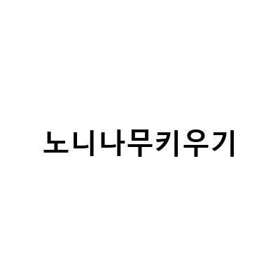 노니나무 키우기: 베란다 정원에서 1년간의 경험과 팁