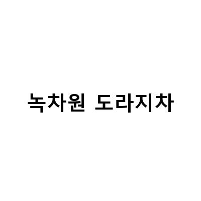 환절기 목관리에 효과적인 녹차원의 정성가득 도라지차