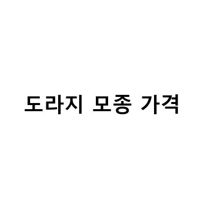약성 좋은 백도라지와 더덕, 도라지의 모종과 판매 정보