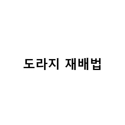 슈퍼 도라지 재배법의 비밀! 베스트11과 함께하는 땅두릅, 머위, 원추리, 더덕, 산마늘 도라지 재배법