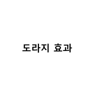 도라지 농축액의 효과와 함께 즐기는 흑도라지청, 도라지 꿀차