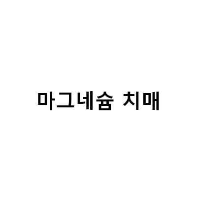 마그네슘 섭취로 치매 예방, 과학적으로 증명된 효과