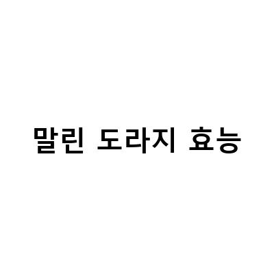 국내산 말린 도라지 가루의 효능과 부작용, 차 만들기 방법