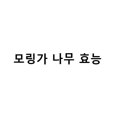 모링가의 효능과 섭취방법, 부작용 및 권장섭취량에 대해 알아보자!