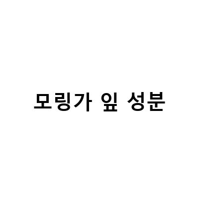 모링가차 분말의 효능과 영양성분, 부작용 없는 섭취법