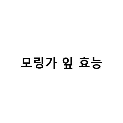 모링가차의 효능과 영양성분, 부작용 없는 모링가 분말 가루