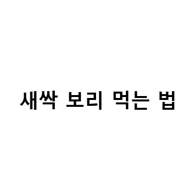 새싹보리의 효능과 먹는법, 그리고 부작용까지 알아보자!