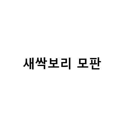 유기농 보리 새싹 재배와 건강한 새싹보리 분말 먹는 법