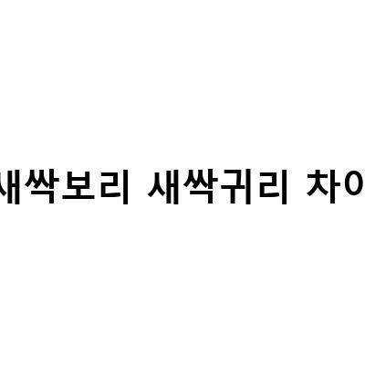 새싹보리, 고양이풀, 워너비바디 – 봄철 필수 식물들