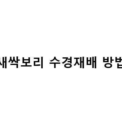 “보리새싹 키우기: 수경과 노지재배 비교, 새싹보리 가루의 다양한 활용 방법”