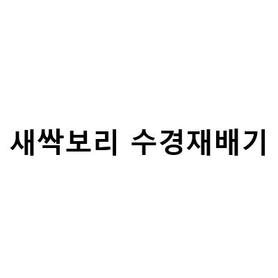 새싹보리 수경재배기로 쉽게 키워보자!