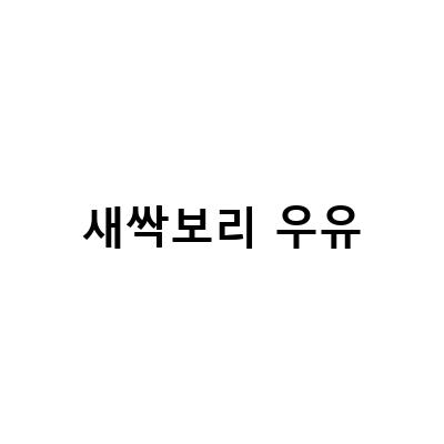 새싹보리분말의 다양한 섭취 방법과 효과