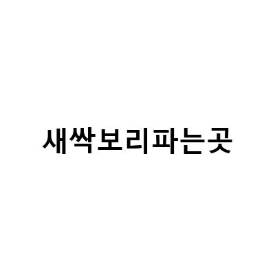 국산 새싹보리 분말 파는곳 | 보리새싹 효능과 먹는 법 파헤치기