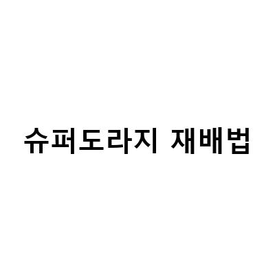 슈퍼 도라지 재배법과 특징, 풀 제거 요령 알아보기