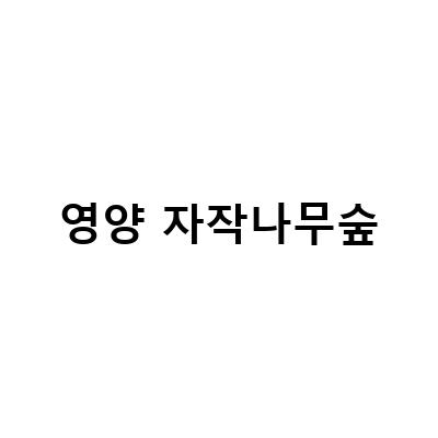 경북 영양 죽파리 자작나무숲 전망대 데크, 가족과 함께 떠나는 아름다운 오지 여행