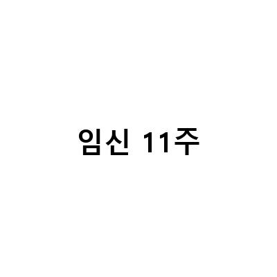 임신 11주차 12주차 증상, 입덧지옥 탈출하기