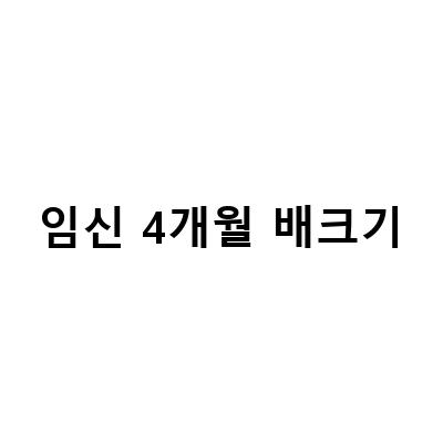 임신 4개월 배크기와 증상, 아기 성별, 주수, 배 나오는 시기 모두 알아보자!