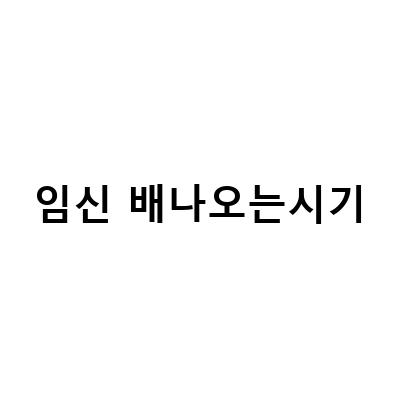 임신 후 배가 나오는 시기, 언제부터 시작되나요?