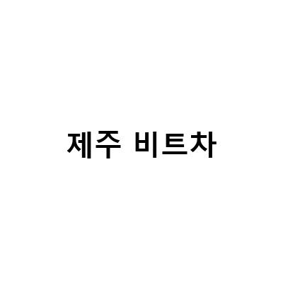 제주 건강차 3종 비트차, 참가시잎차, 한동블랙콘차 만들기!