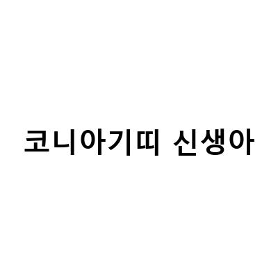 신생아 아기띠 선택 가이드 – 코니아기띠, 베이비뵨 미니, 슬링 내돈내산 총정리