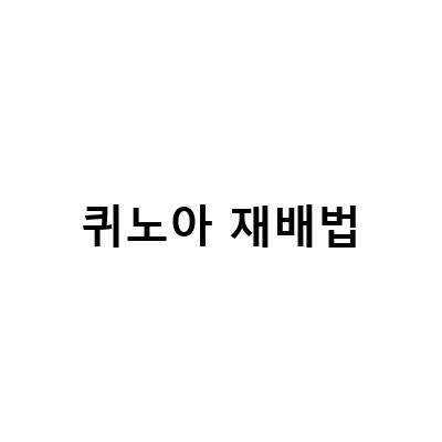 퀴노아와 아마란스, 건강한 식습관의 새로운 선택지